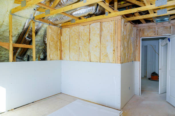 Best Affordable Insulation Services  in Lakeview, MI
