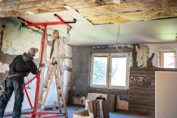 Best Cellulose Insulation  in Lakeview, MI